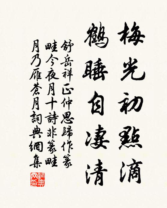 舒岳祥梅光初点滴，鹤睡自凄清书法作品欣赏