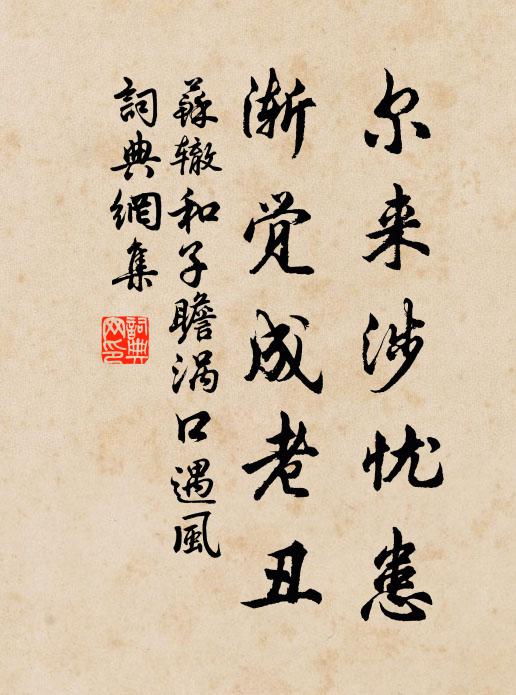 苏辙尔来涉忧患，渐觉成老丑书法作品欣赏