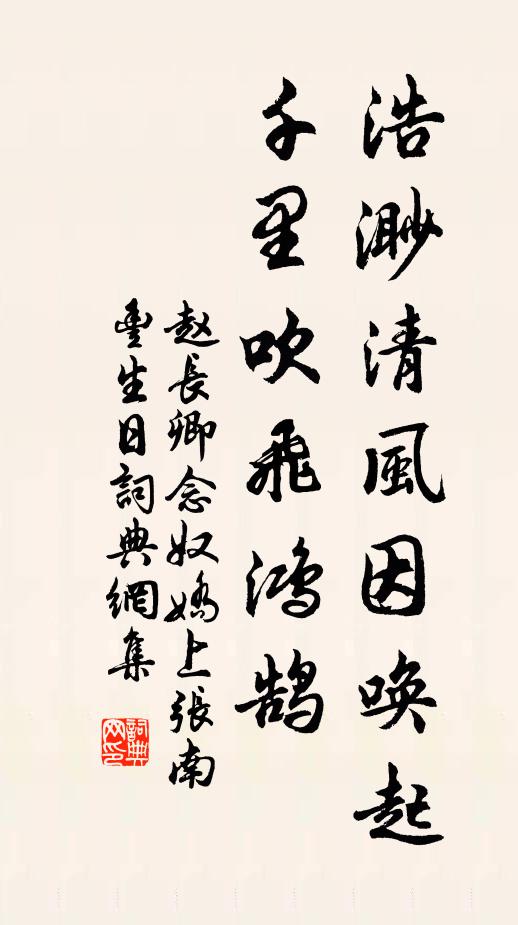 赵长卿浩渺清风因唤起，千里吹飞鸿鹄书法作品欣赏