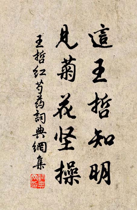 王哲这王哲知明，见菊花坚操书法作品欣赏