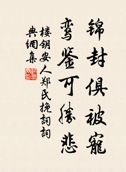 楼钥锦封俱被宠，鸾鉴可胜悲书法作品欣赏
