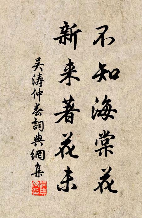吴涛不知海棠花，新来著花未书法作品欣赏