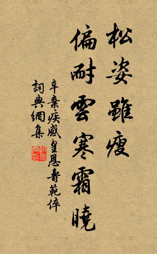 辛弃疾松姿虽瘦，偏耐云寒霜晓书法作品欣赏
