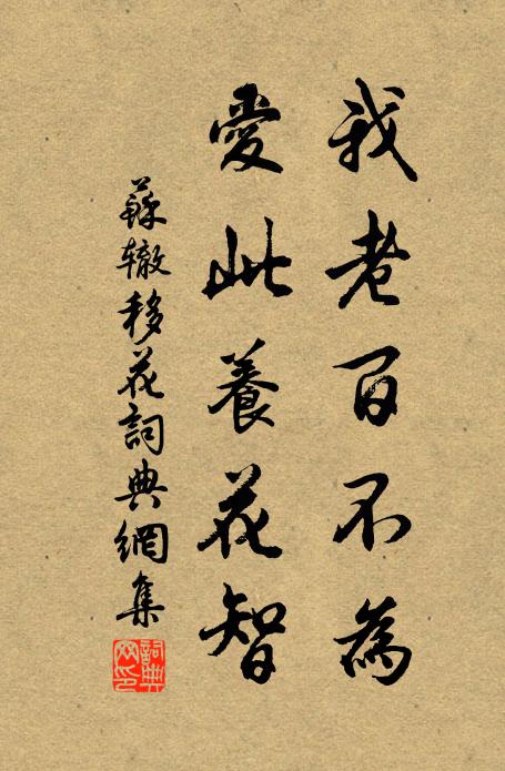 苏辙我老百不为，爱此养花智书法作品欣赏