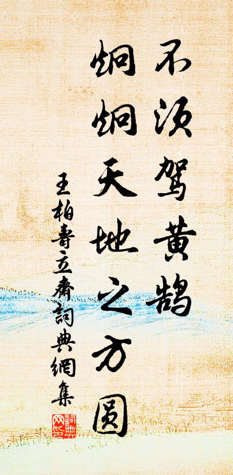 王柏不须驾黄鹄，炯炯天地之方圆书法作品欣赏
