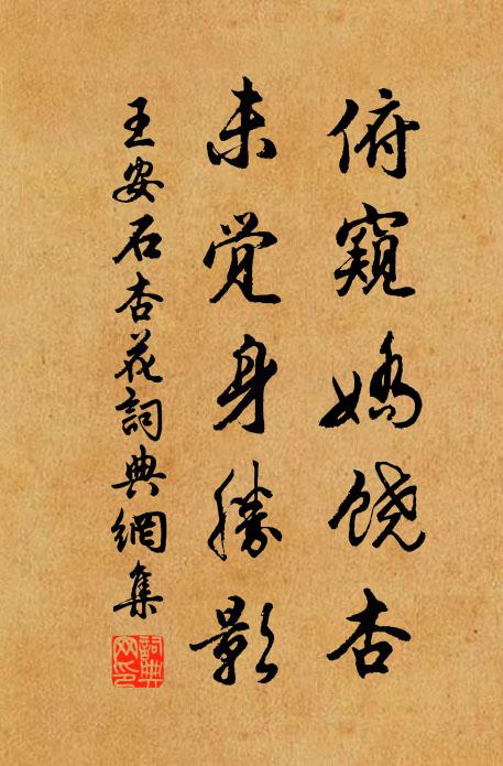王安石俯窥娇饶杏，未觉身胜影书法作品欣赏