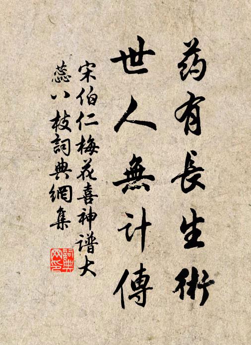宋伯仁药有长生术，世人无计传书法作品欣赏