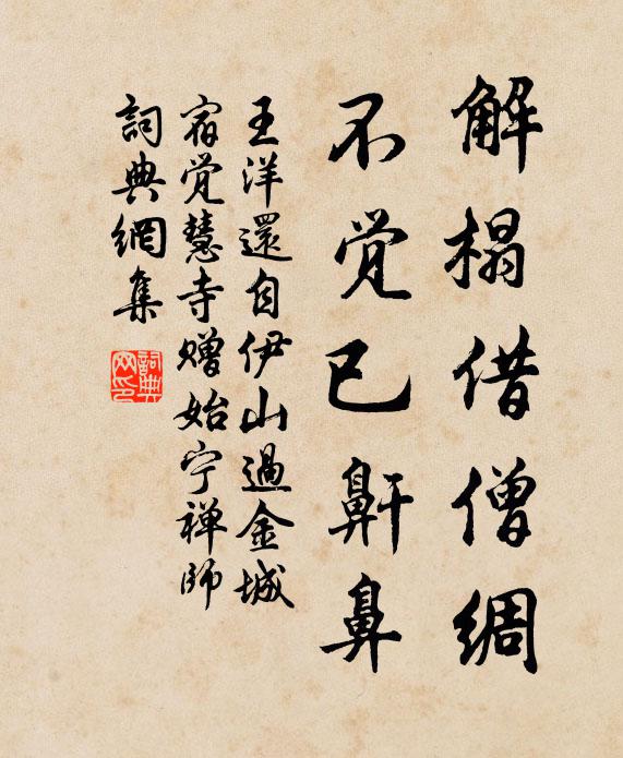 王洋解榻借僧绸，不觉已鼾鼻书法作品欣赏