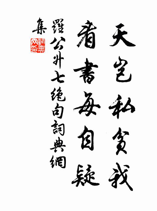 罗公升天岂私贫我，看书每自疑书法作品欣赏