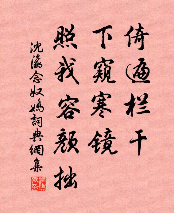 沈瀛倚遍栏干，下窥寒镜，照我容颜拙书法作品欣赏