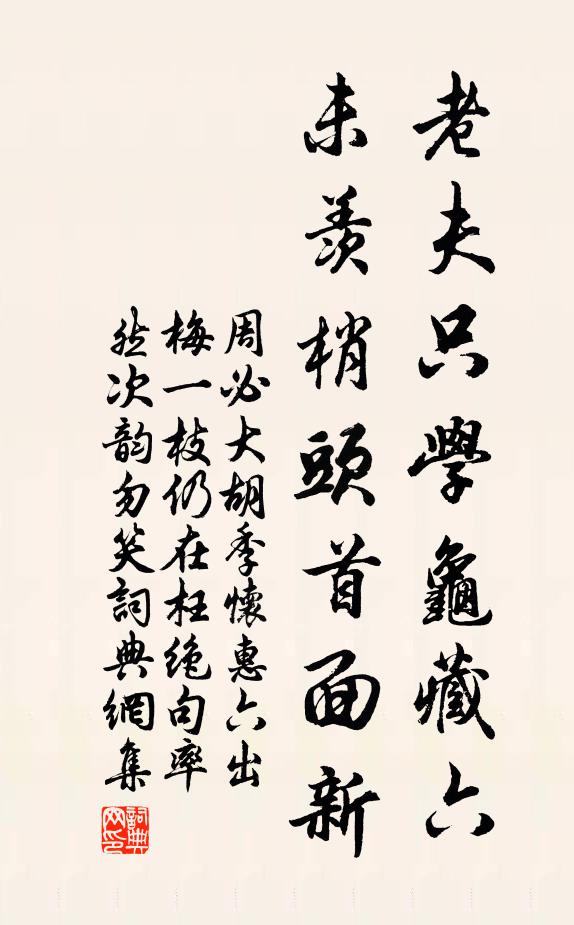 周必大老夫只学龟藏六，未羡梢头首面新书法作品欣赏