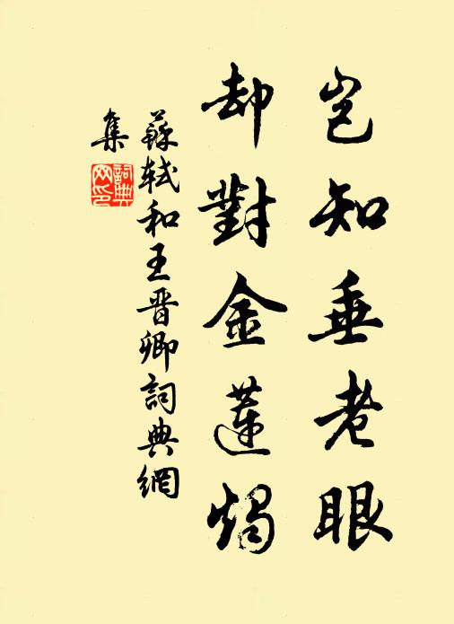 苏轼岂知垂老眼，却对金莲烛书法作品欣赏