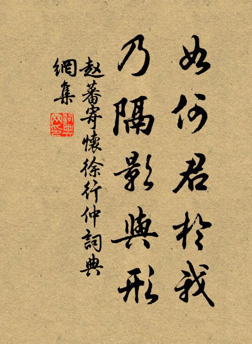 赵蕃如何君于我，乃隔影与形书法作品欣赏