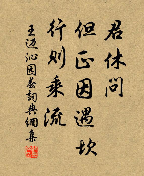 王迈君休问，但正因遇坎，行则乘流书法作品欣赏