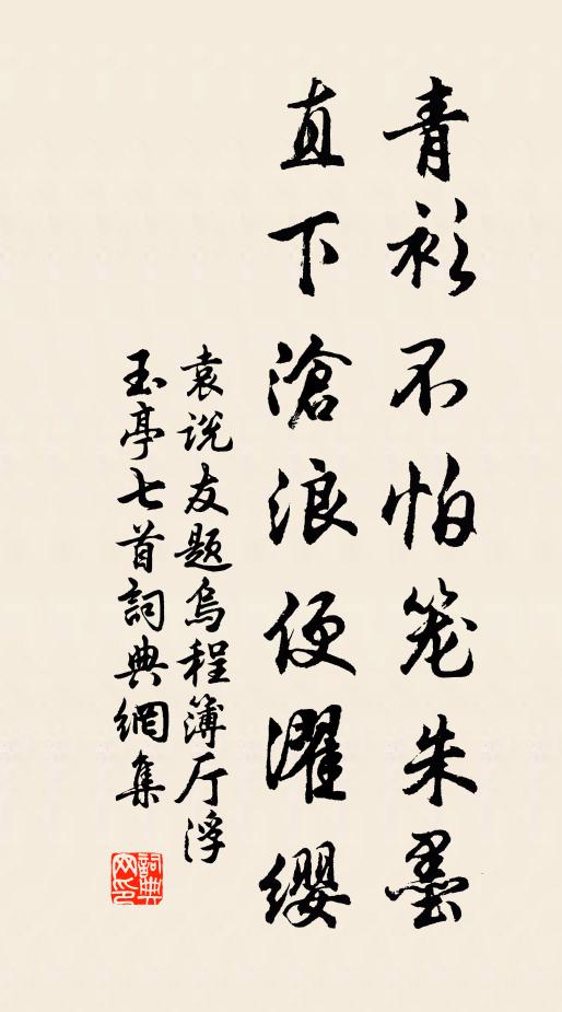 袁说友青衫不怕笼朱墨，直下沧浪便濯缨书法作品欣赏