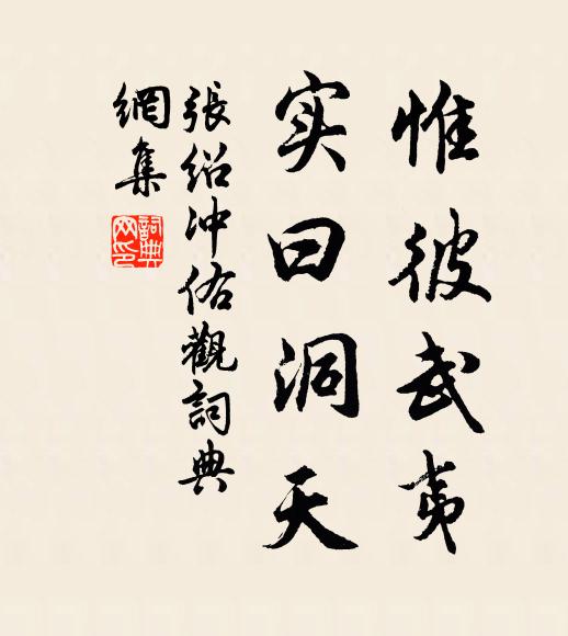 张绍惟彼武夷,实曰洞天书法作品欣赏