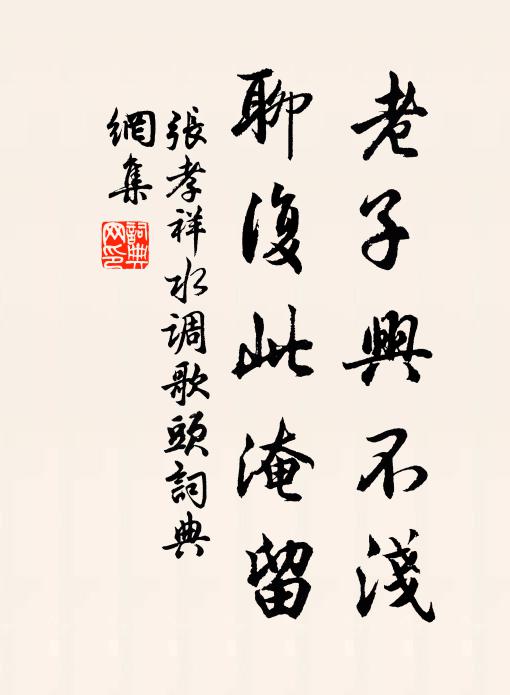 张孝祥老子兴不浅，聊复此淹留书法作品欣赏