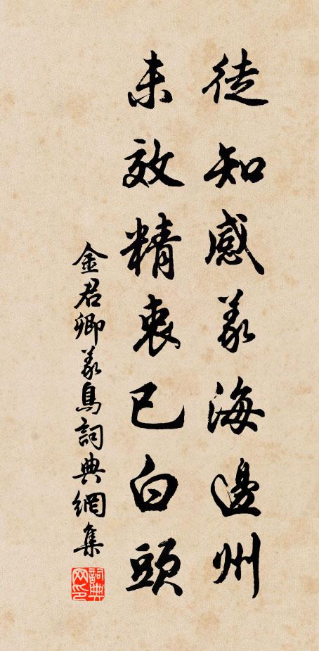 金君卿徒知感义海边州，未效精衷已白头书法作品欣赏