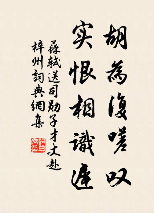 苏轼胡为复嗟叹，实恨相识迟书法作品欣赏