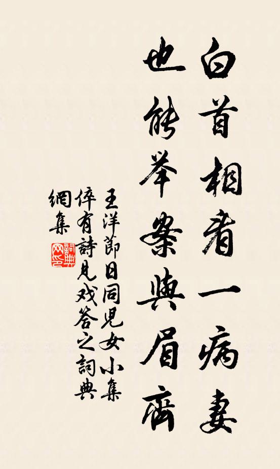 王洋白首相看一病妻，也能举案与眉齐书法作品欣赏