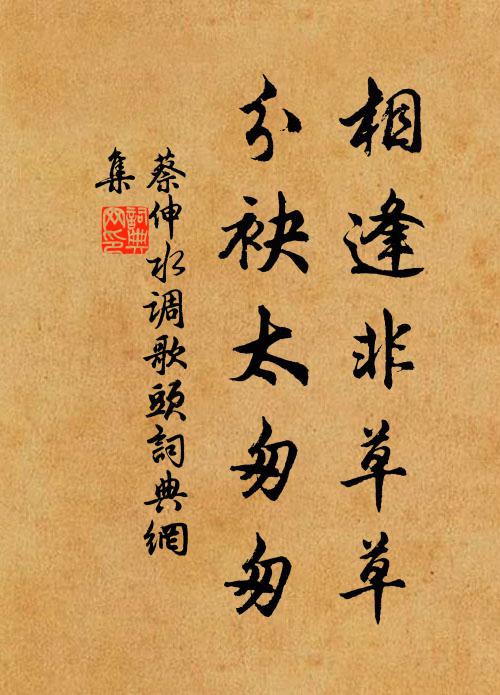 蔡伸相逢非草草，分袂太匆匆书法作品欣赏