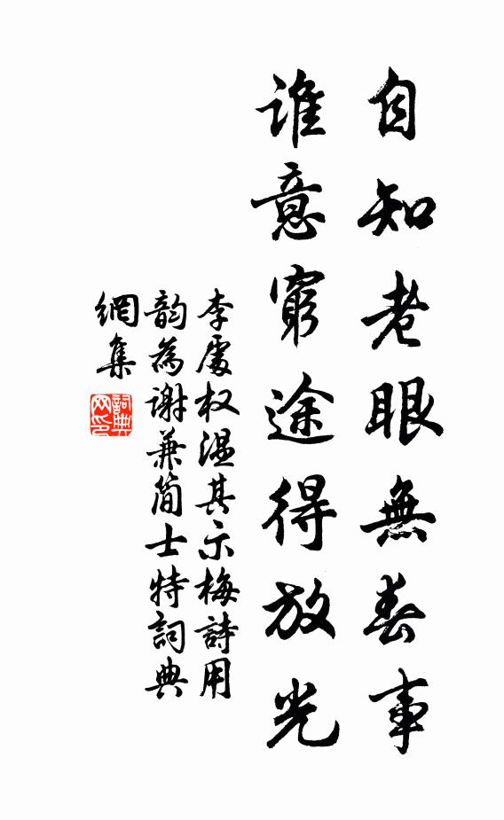 李处权自知老眼无春事，谁意穷途得放光书法作品欣赏