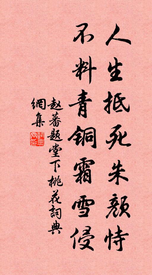 赵蕃人生抵死朱颜恃，不料青铜霜雪侵书法作品欣赏