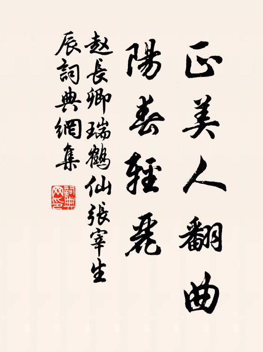 赵长卿正美人翻曲，阳春轻丽书法作品欣赏