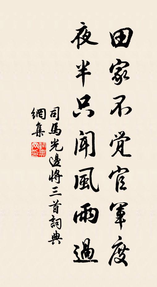 司马光田家不觉官军度，夜半只闻风雨过书法作品欣赏
