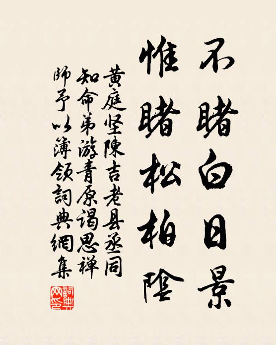 黄庭坚不睹白日景，惟睹松柏阴书法作品欣赏