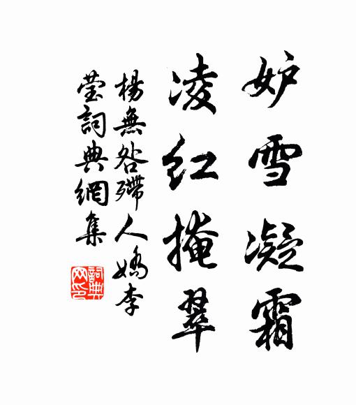 杨无咎妒雪凝霜，凌红掩翠书法作品欣赏