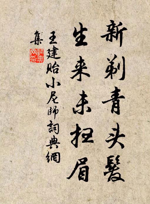 王建新剃青头发，生来未扫眉书法作品欣赏