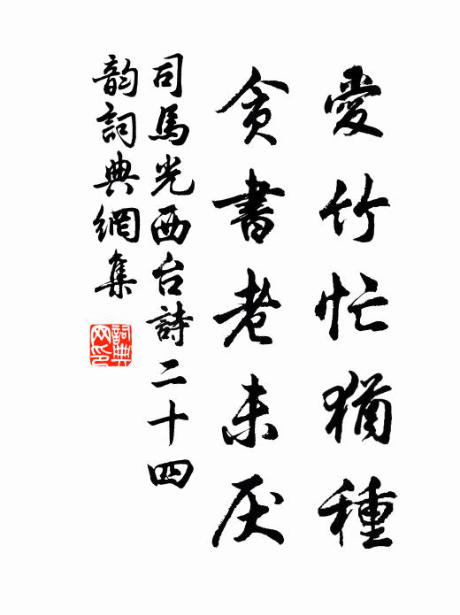 司马光爱竹忙犹种,贪书老未厌书法作品欣赏