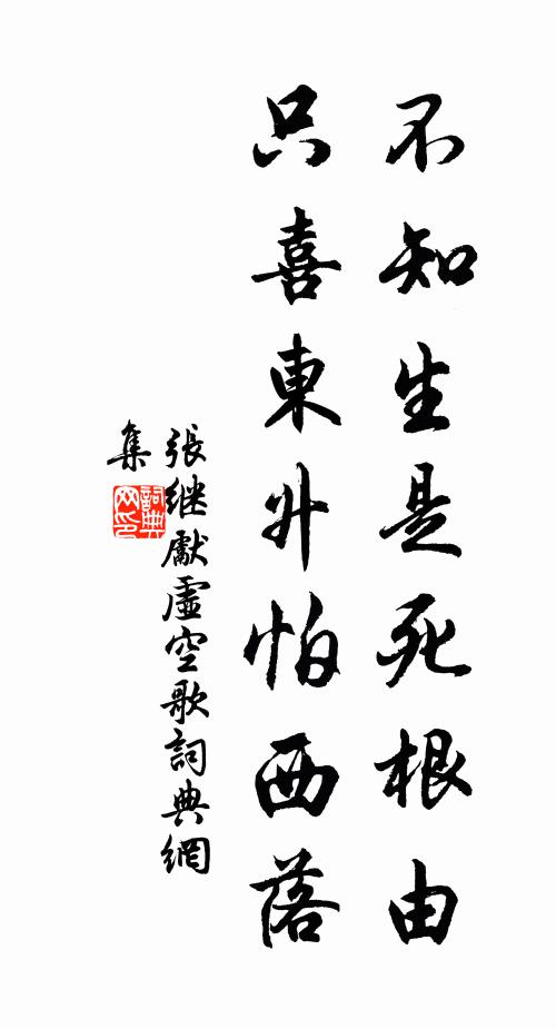 张继先不知生是死根由,只喜东升怕西落书法作品欣赏