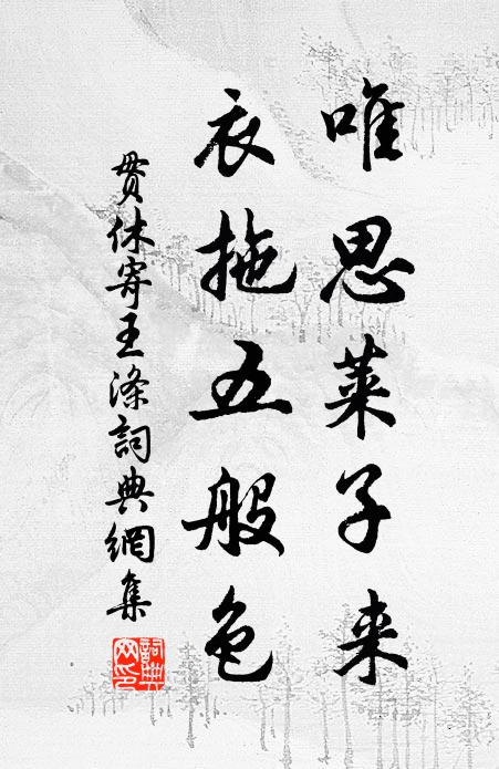 贯休唯思莱子来，衣拖五般色书法作品欣赏