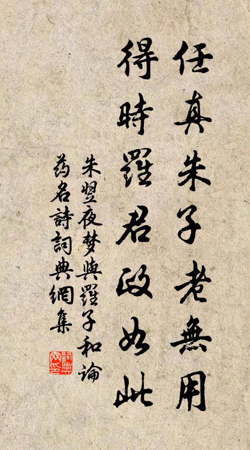 朱翌任真朱子老无用，得时罗君政如此书法作品欣赏