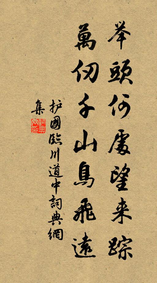 护国举头何处望来踪，万仞千山鸟飞远书法作品欣赏