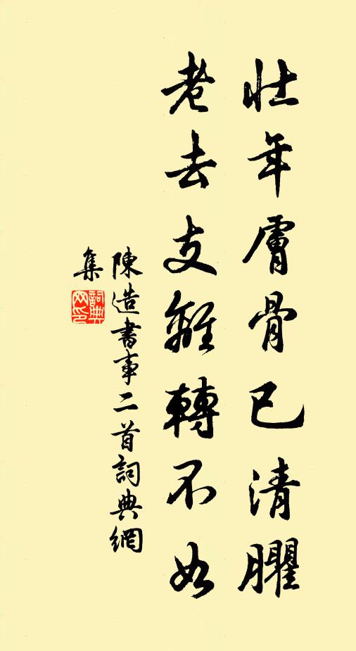 陈造壮年肤骨已清臞，老去支离转不如书法作品欣赏
