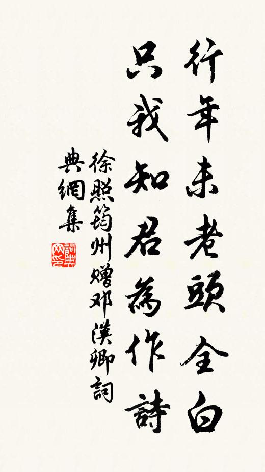 徐照行年未老头全白，只我知君为作诗书法作品欣赏