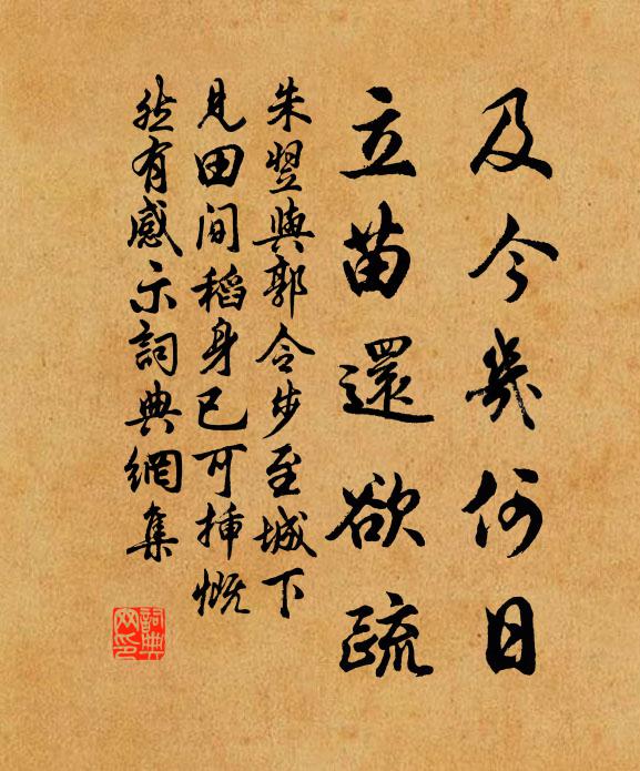 朱翌及今几何日，立苗还欲疏书法作品欣赏