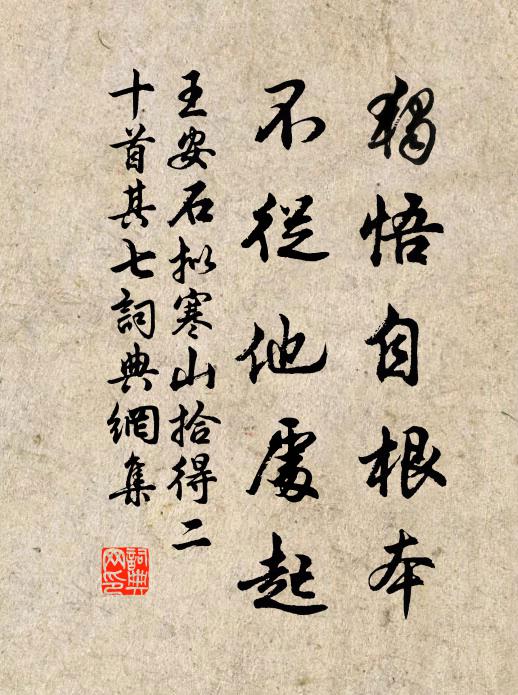 王安石独悟自根本，不从他处起书法作品欣赏
