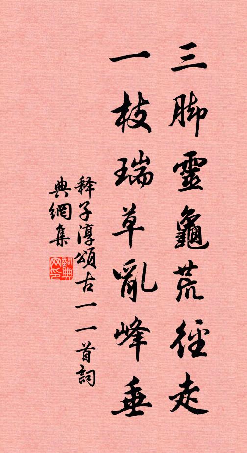 释子淳三脚灵龟荒径走，一枝瑞草乱峰垂书法作品欣赏