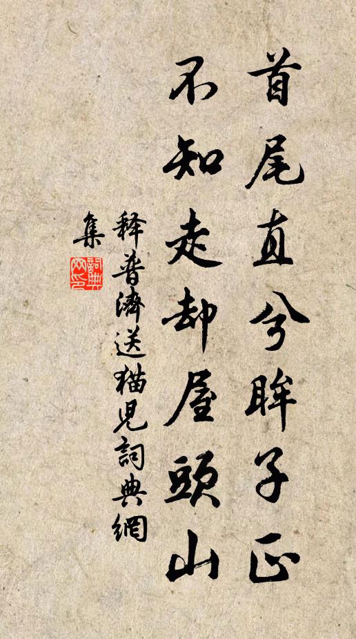释普济首尾直兮眸子正，不知走却屋头山书法作品欣赏
