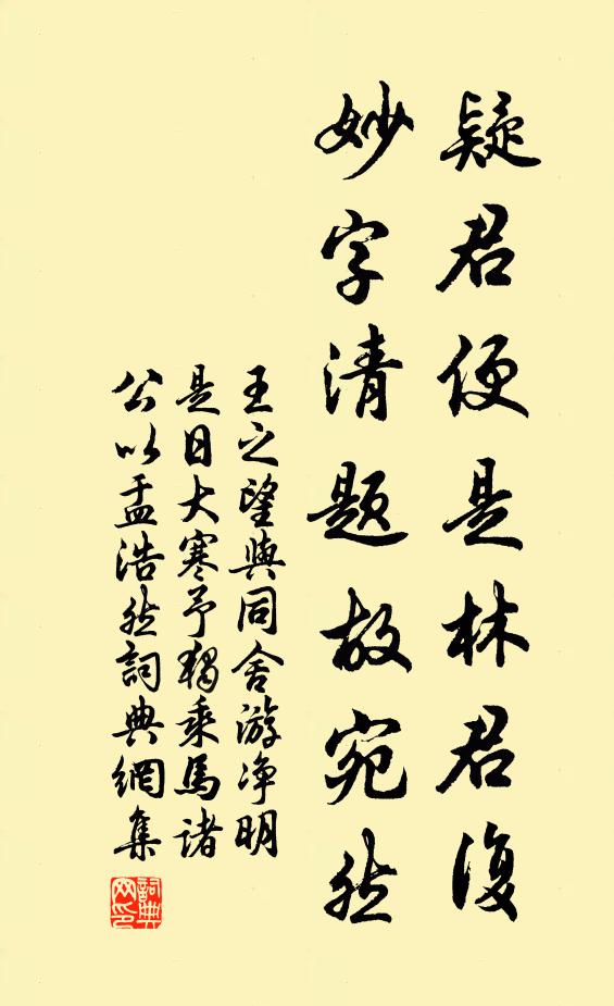 王之望疑君便是林君复，妙字清题故宛然书法作品欣赏