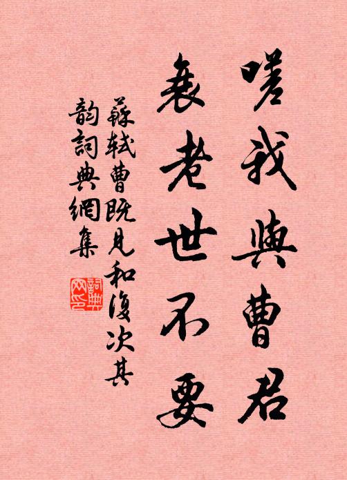 苏轼嗟我与曹君，衰老世不要书法作品欣赏