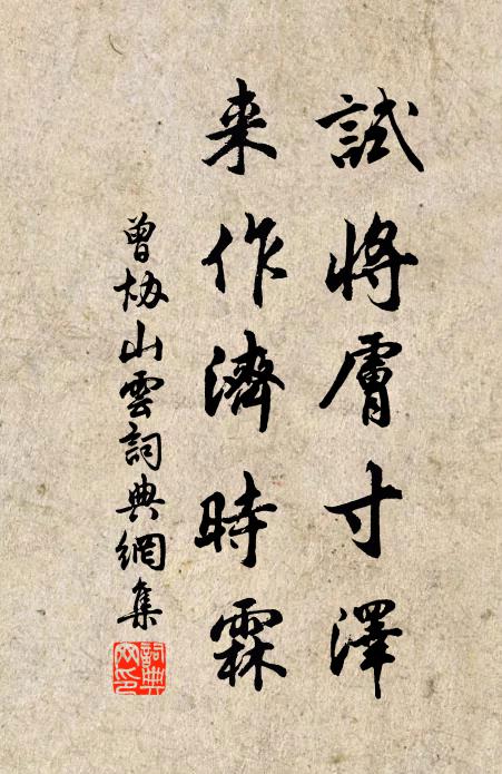 曾协试将肤寸泽，来作济时霖书法作品欣赏