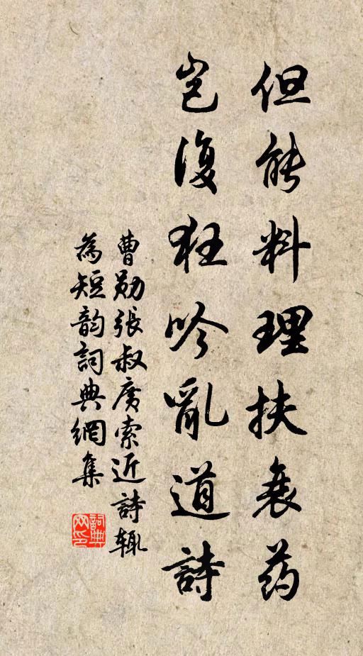 曹勋但能料理扶衰药，岂复狂吟乱道诗书法作品欣赏