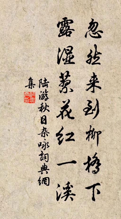 陆游忽然来到柳桥下，露湿蓼花红一溪书法作品欣赏