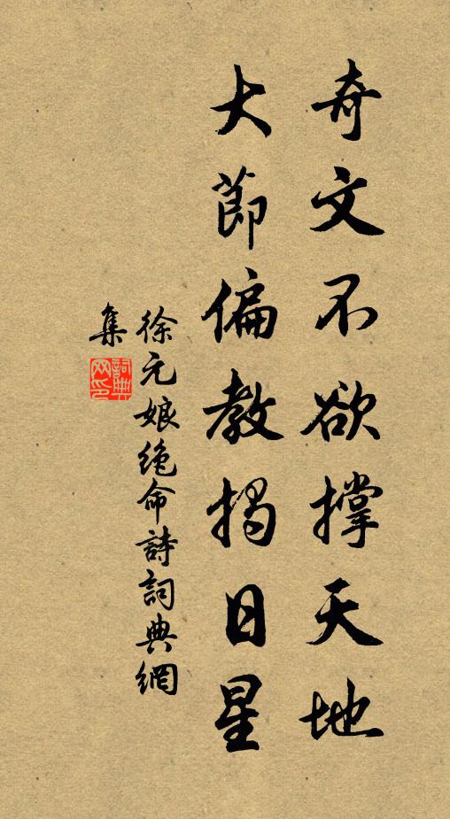 徐元娘奇文不欲撑天地，大节偏教揭日星书法作品欣赏