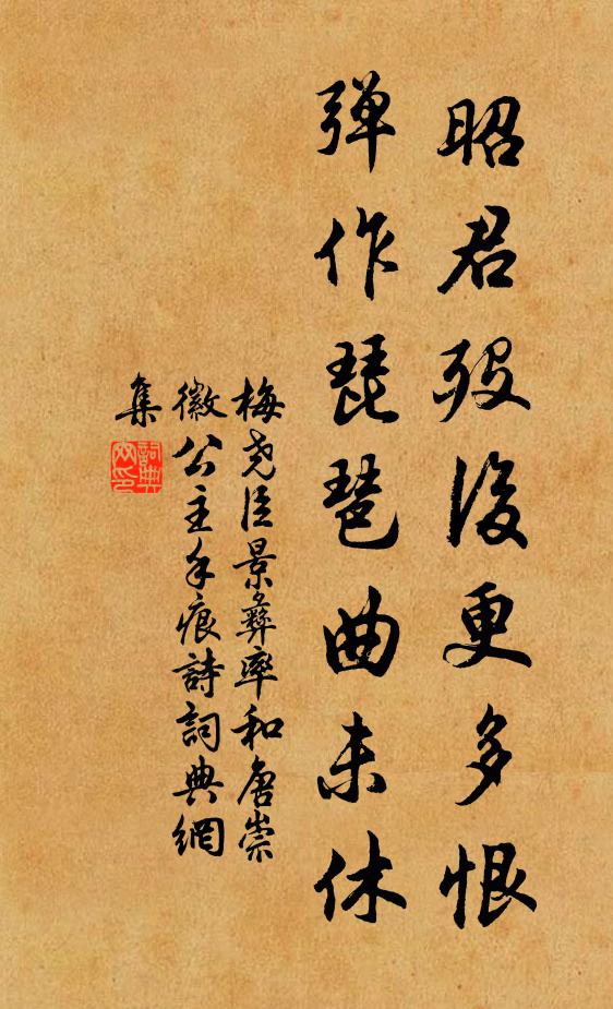 梅尧臣昭君殁后更多恨，弹作琵琶曲未休书法作品欣赏